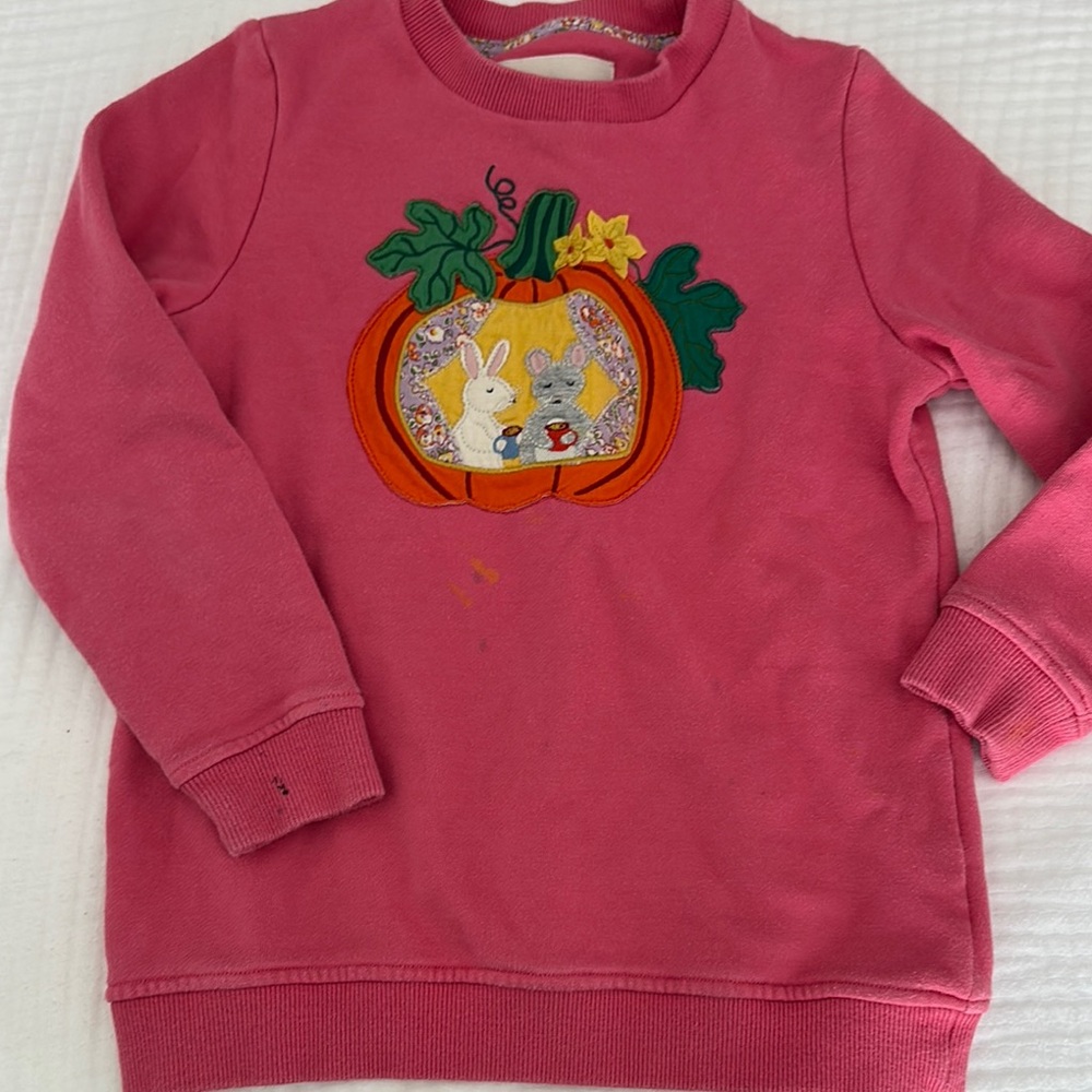 Pink Sweatshirt with Pumpkin and Bunny Design